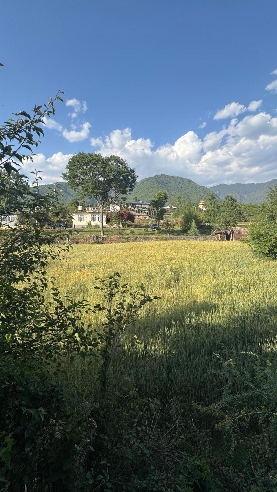 Namlang Resort Bīr Exterior foto